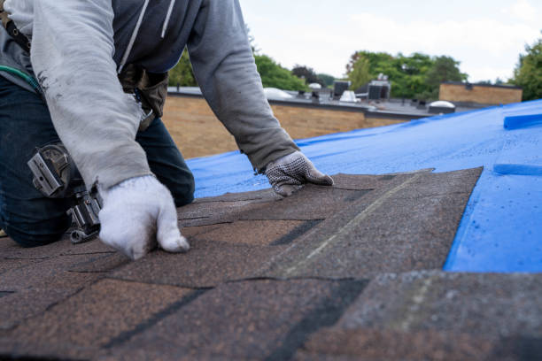 Best Flat Roof Repair Services  in Telford, TN
