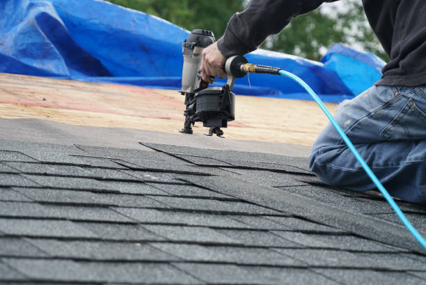 Best Roof Gutter Cleaning  in Telford, TN