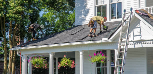 Best Gutter Installation and Roofing  in Telford, TN