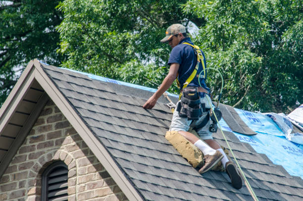 Best New Roof Installation  in Telford, TN